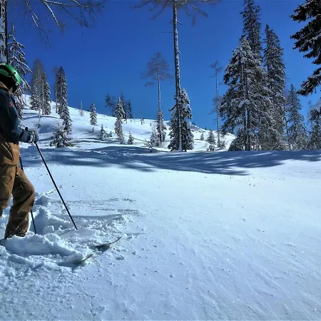 Appartement-pension Familie Gewessler Apartment Bad Mitterndorf