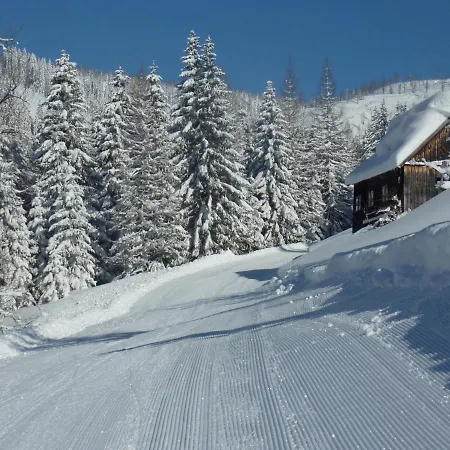 Appartement-pension Familie Gewessler Apartamento Bad Mitterndorf