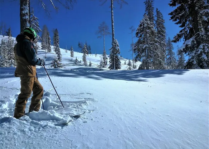Appartement-pension Familie Gewessler Appartamento Bad Mitterndorf