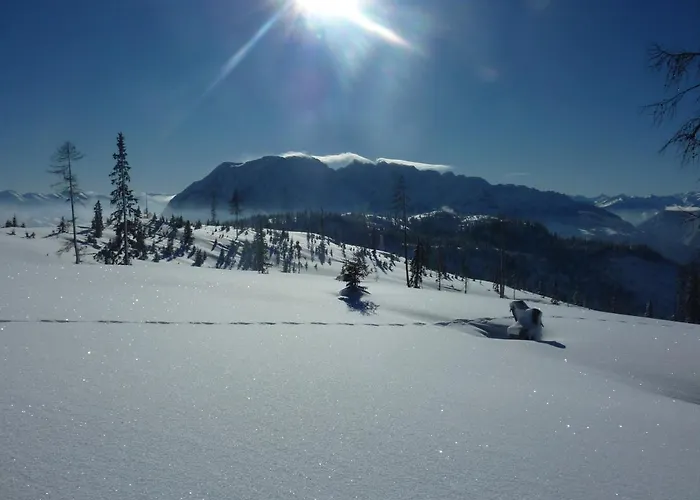 Appartement-pension Familie Gewessler * باد ميترندورف