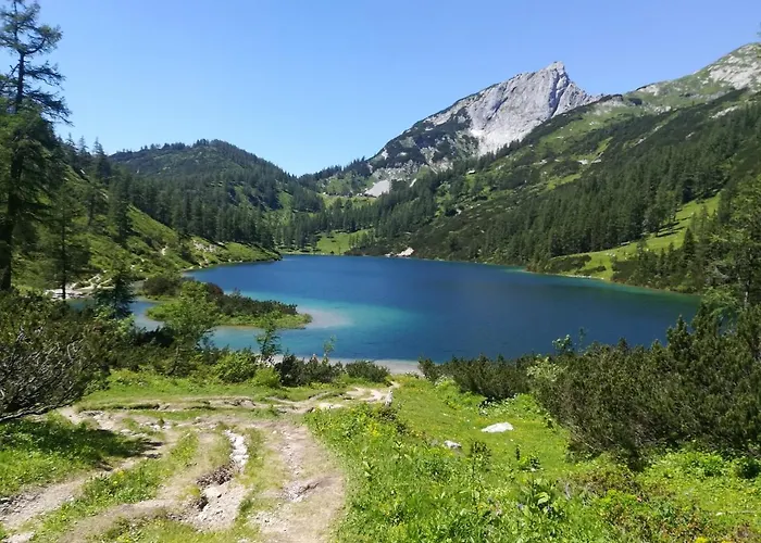 شقة Appartement-pension Familie Gewessler باد ميترندورف